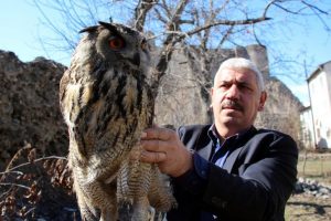 Bah&ccedil;esinde bulduğu puhu kuşunu iyileşene kadar yalnız bırakmadı