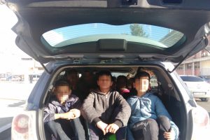 Tek seferde 12 &ouml;ğrencisini otomobille stada g&ouml;t&uuml;rd&uuml;