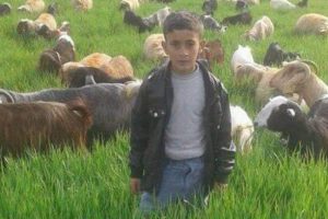 K&uuml;&ccedil;&uuml;k &ccedil;ocuğu o halde g&ouml;ren yakınları sinir krizi ge&ccedil;irdi