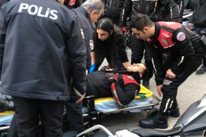 Bursa'da yunuslara otomobil &ccedil;arptı