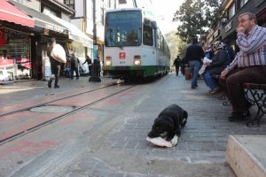 Bursa'da bug&uuml;n ve yarın hava durumu nasıl olacak? (09 Mart 2019 Cumartesi)
