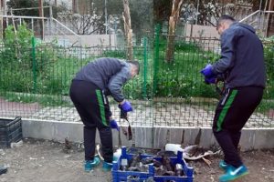 Vicdansızlık! Bu kez de asitle &ouml;ld&uuml;rd&uuml;ler
