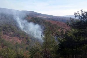 Orman yangınını s&ouml;nd&uuml;rmek isterken canından oldu