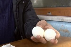 İlgin&ccedil; olay! "Başıma ne geldiyse iki yumurtadan geldi"