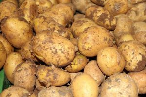 Patates ithalatında sıfır g&uuml;mr&uuml;kle 200 bin ton tarife kontenjanı a&ccedil;ıldı