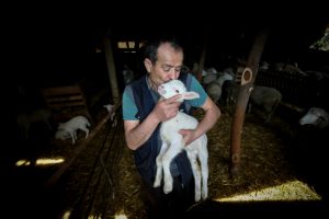 Bursa'nın bağımsız adayı besiciden "bedava başkanlık" vaadi