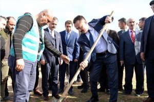 Bilecik'in k&ouml;yleri fidanlarla renklenecek