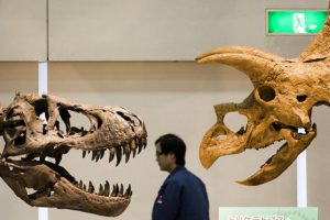 Yeni bir dinozor t&uuml;r&uuml; keşfedildi