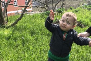 &Uuml;reticilerin fındık fiyatı beklentisi '20 TL'