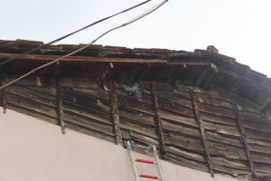 Bursa'da tele takılan g&uuml;vercini itfaiye ekipleri kurtardı
