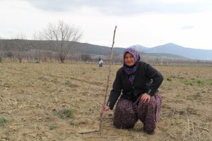 H&uuml;nnap Projesi kapsamında ilk &ouml;rnek bah&ccedil;e kuruldu