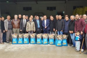 &Ccedil;ift&ccedil;ilere silajlık mısır tohumu dağıtıldı