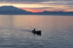 Konya Beyşehir Gölü'nde su ürünleri av yasağı başladı