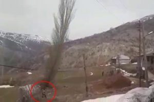 Kestiği ağacın altında kalmaktan sonra kurtuldu