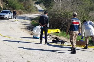 D&ouml;verek &ouml;ld&uuml;r&uuml;p yol kenarına attılar