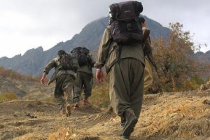 PKK'lı 4 ter&ouml;rist g&uuml;venlik g&uuml;&ccedil;lerine teslim oldu