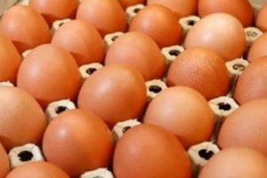 Yeni araştırmaya g&ouml;re yumurtanın sarısı zararlı!