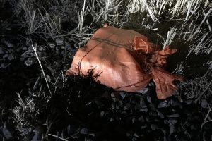 Tren yoluna atılan 4 &ccedil;uval esrar ele ge&ccedil;irildi