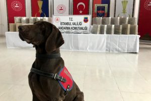 Jandarma uyuşturucu ticaretine ge&ccedil;it vermedi