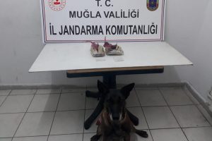 1 kilo esrar &Ccedil;imen'in dikkatinden ka&ccedil;madı