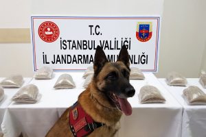 'Atak'tan zehir tacirlerine darbe