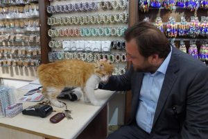 Cumhur İttifakı Adayı Yazıcı: "Birlikte &ccedil;alışarak Marmaris'in vitesini b&uuml;y&uuml;teceğiz"