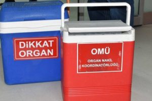 İntihar etti organları 4 hastaya umut oldu