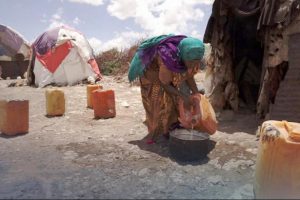 Korkutan su raporu: Tahıl &uuml;retimi y&uuml;zde 40 d&uuml;şebilir