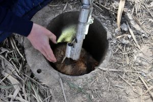 12 metre derinliğindeki sondaj kuyusuna d&uuml;şen yavru k&ouml;pek kurtarıldı