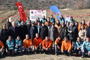 Y&uuml;k&uuml;ml&uuml; ve h&uuml;k&uuml;ml&uuml;ler 3 bin kara&ccedil;am fidanı dikti