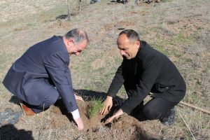Denetimli serbestlik y&uuml;k&uuml;ml&uuml;leri fidan dikti