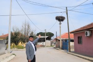 Baharın m&uuml;jdecisi leylekler geldi