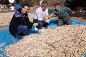Tescillendi, şimdi yok satıyor