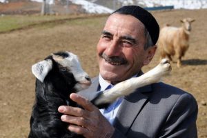 Bing&ouml;ll&uuml; &ccedil;obana 'koyunlarla imtihanı' &uuml;n getirdi