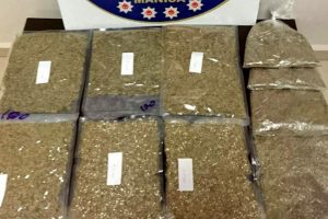 Vakumlanmış poşetlerden 1 kilo 667 gram bonzai &ccedil;ıktı