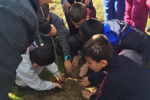 Bursa'da minikler fidan dikti