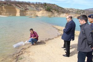 G&ouml;letlere 25 bin adet pullu sazan bırakıldı