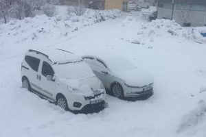 Bahar geldi derken g&uuml;ne karla uyandı