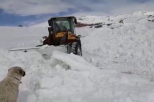 Kar kalınlığı 7 metreyi buldu
