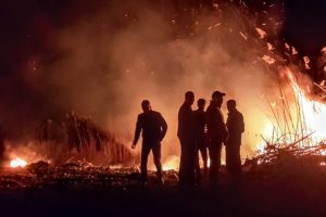 Bursa İznik'te sazlık alandaki yangın s&ouml;nd&uuml;r&uuml;ld&uuml;