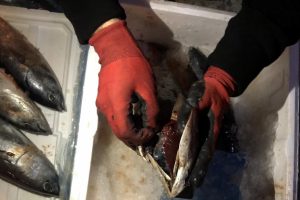 Uyuşturucu ka&ccedil;ak&ccedil;ılarının 'bu kadarına da pes' dedirten y&ouml;ntemi polisi bile şaşkına &ccedil;evirdi