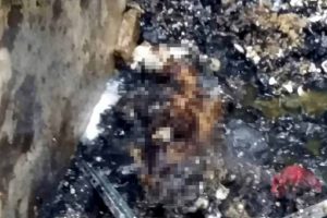 5 yaşındaki Bilal'in feci &ouml;l&uuml;m&uuml;
