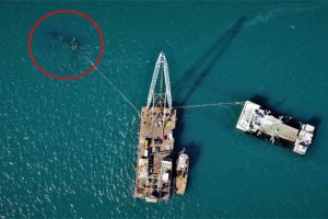 Zeytinburnu sahilindeki batık gemi i&ccedil;in dev vin&ccedil; kuruldu