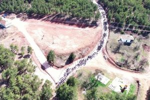 Y&uuml;zlerce kişi ormanlar i&ccedil;in toplandı