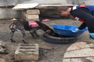 Iğdır'da sigara ve alkol ka&ccedil;ak&ccedil;ılığı
