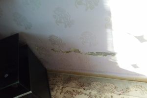 &Ouml;ğrenciler ihtiya&ccedil; sahibi ailelerin evlerini onardı