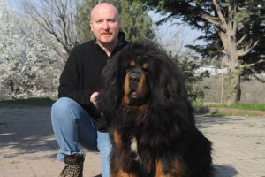 Bursa'da yetiştirdiği k&ouml;pekler 150 bin liraya kadar alıcı buluyor