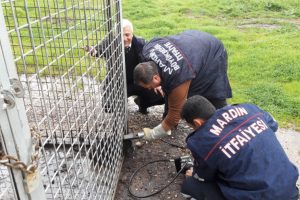 Başı korkuluklara sıkışan k&ouml;pek kurtarıldı
