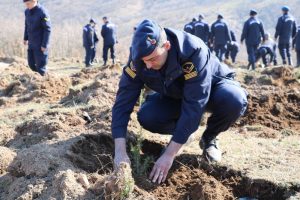 Jandarmadan 180'inci yılda 180 bin fidan