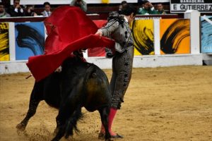 İspanyol matadorlar siyasete giriyor